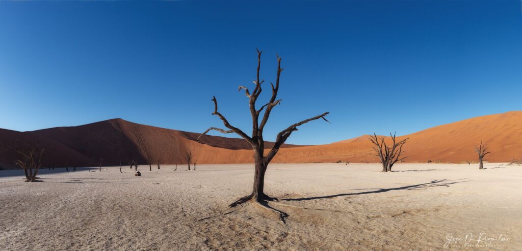 Esculpido por el viento — Namibia