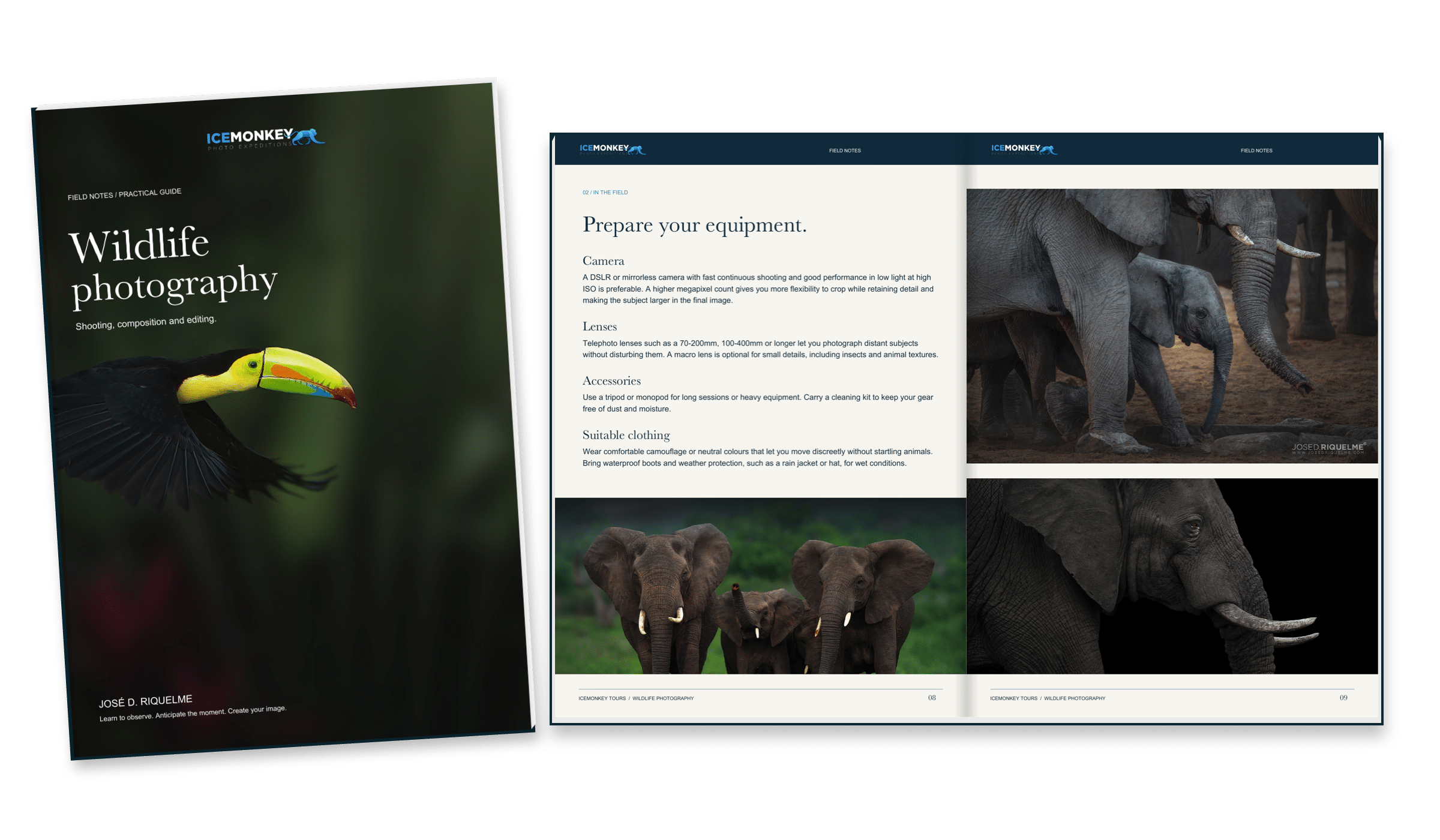 Wildlife photography guide